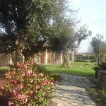 Antica Ravenna מלון דירות 3*