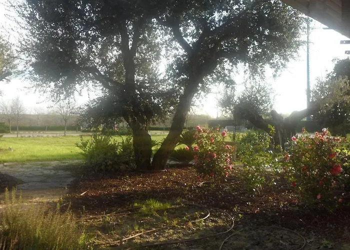 Antica Ravenna Casa Ottani