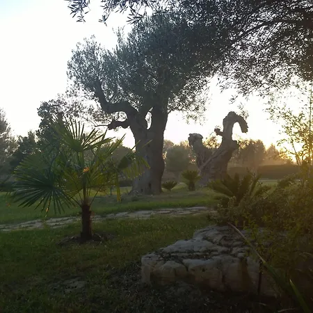 Antica Ravenna Casa Ottani