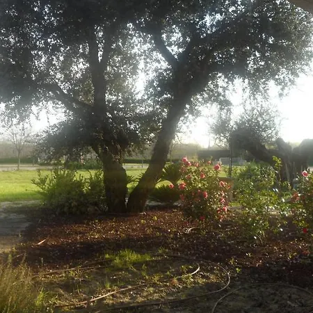 Antica Ravenna Casa Ottani